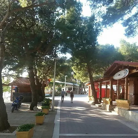 Lara Makarska